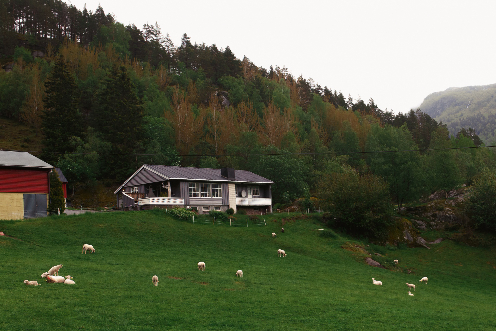 Why Selling Your Land to Frontier Land Holdings LLC Beats Going the Realtor Route.