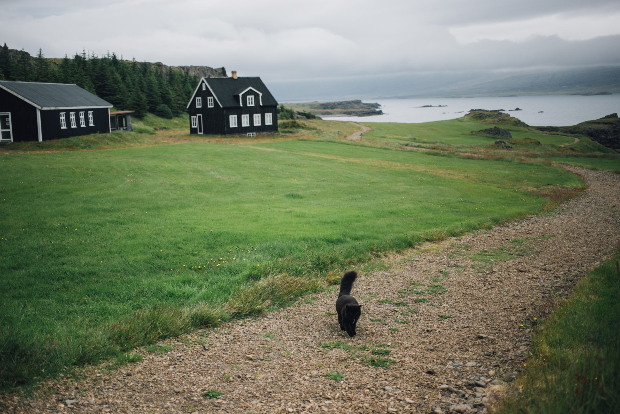 I Just Inherited Land — Now What? (Also Known As: I Have No Idea What to Do with All This Dirt)